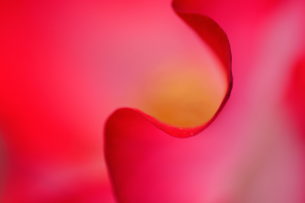 20151031110704_135mm_ISO-100_f-5_‎1-500 