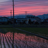 夕美