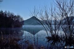 Bare Trees in the Fog #03
