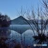 Bare Trees in the Fog #03