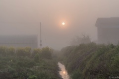 A hazy morning at rural area #02