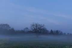 A hazy morning at rural area #01