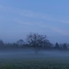A hazy morning at rural area #01