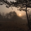 A hazy morning at rural area #03