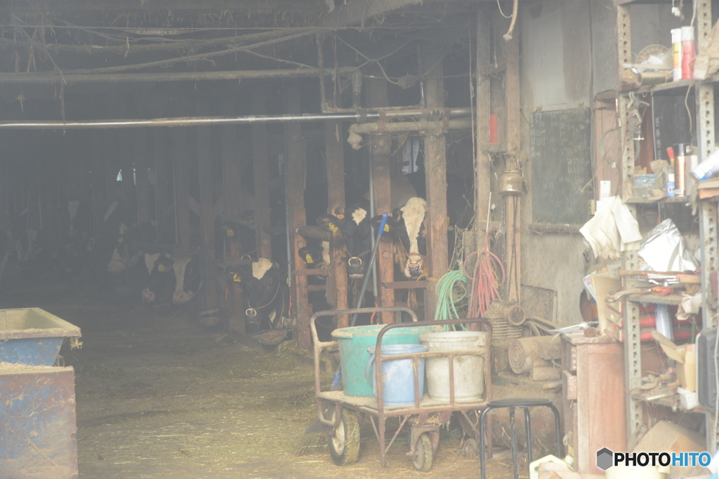 An Aging Farm #2