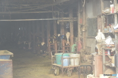 An Aging Farm #2