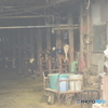 An Aging Farm #2