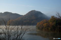 Morning View at a Lake (#05) 