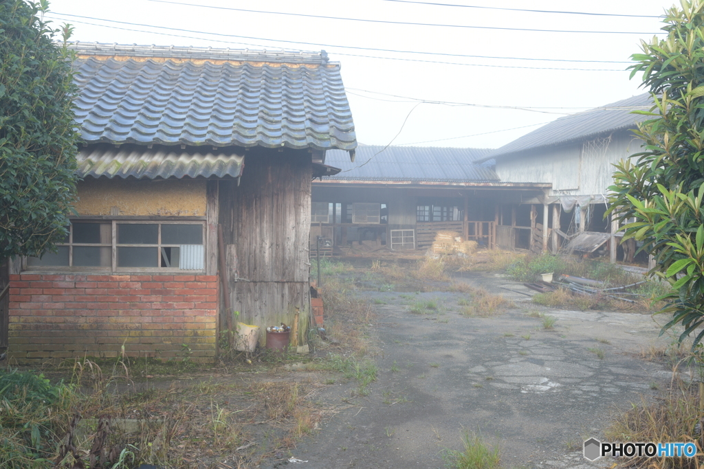An Aging Farm #1