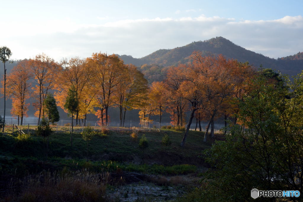 Morning View at a Lake, Again (#04)