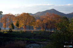Morning View at a Lake, Again (#04)