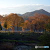 Morning View at a Lake, Again (#04)