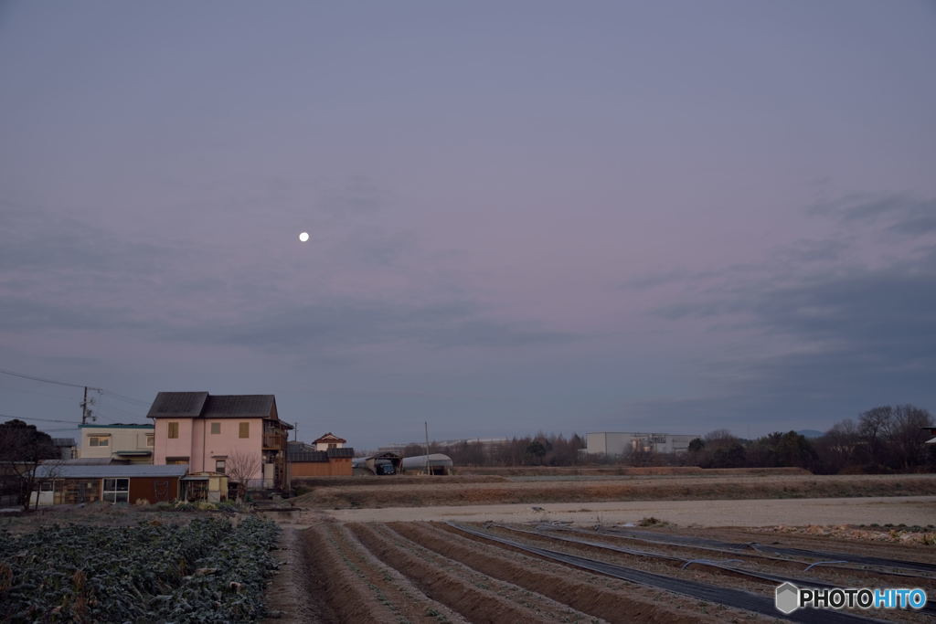 Moon at Dawn