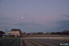 Moon at Dawn