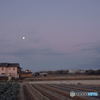 Moon at Dawn