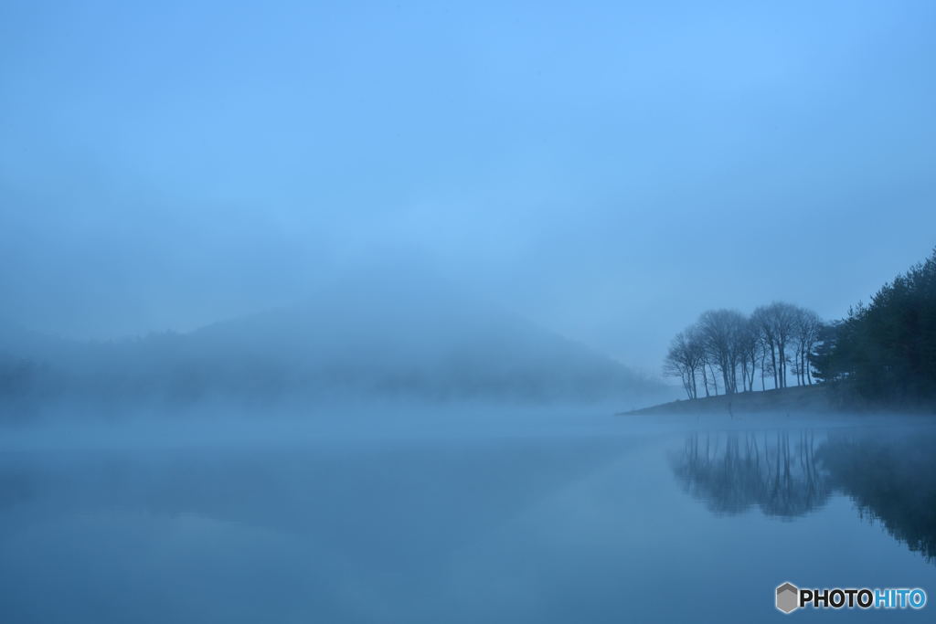 Bare Trees in the Fog #04