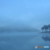 Bare Trees in the Fog #04