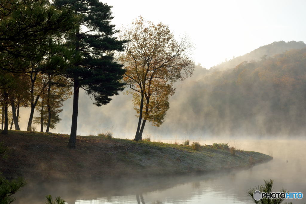Morning View at a Lake (#03) 