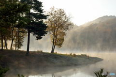Morning View at a Lake (#03) 