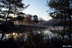 Morning View at a Lake, Again (#03)