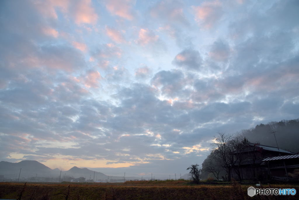 A Rural View at the Early Winter Morning
