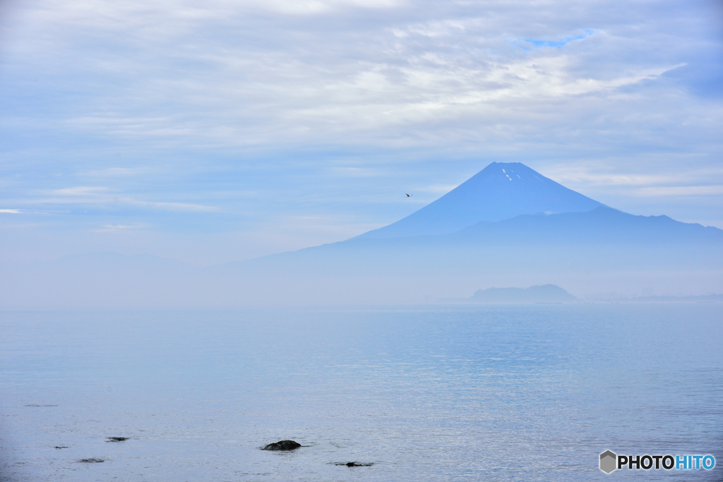 朝靄に浮かぶ