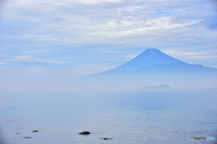 朝靄に浮かぶ