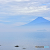 朝靄に浮かぶ