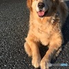朝陽の中で