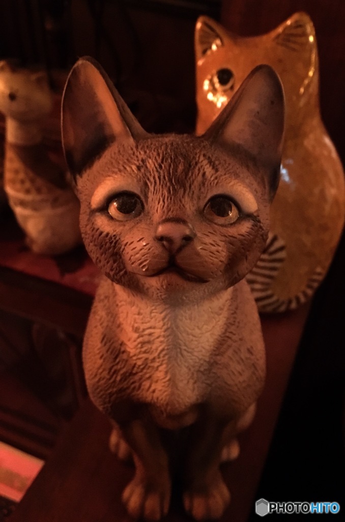 猫ねこネコ