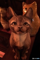 猫ねこネコ