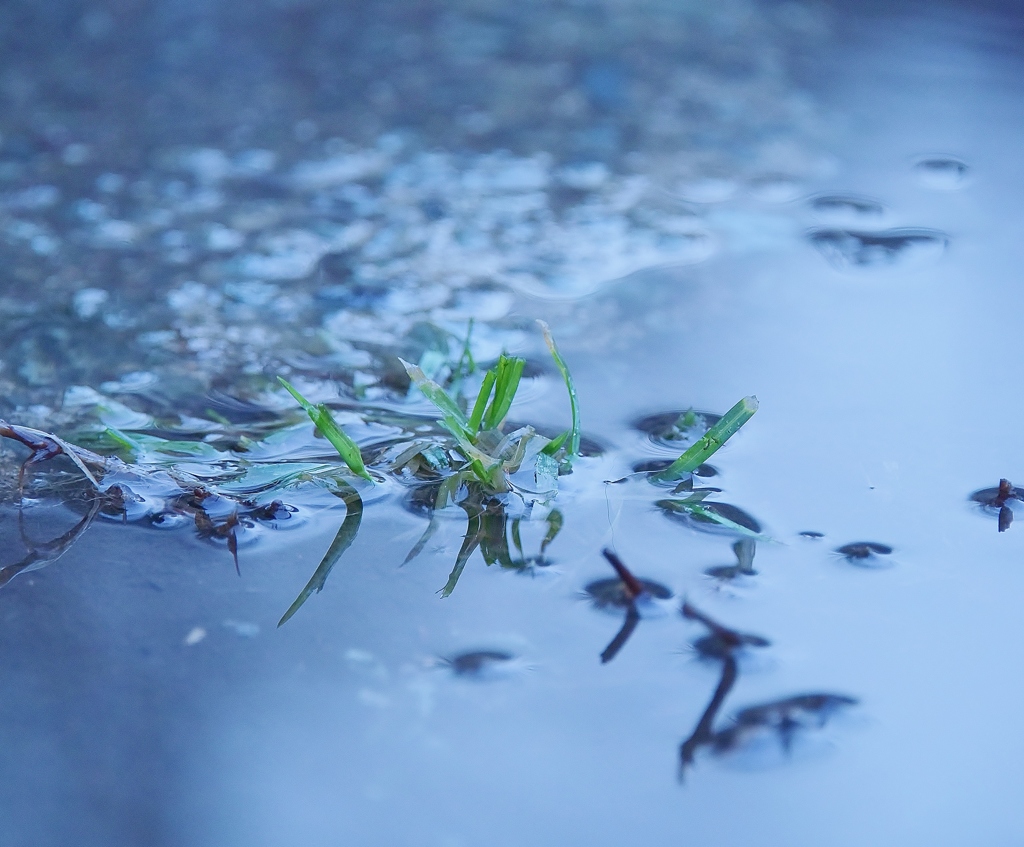 雪ニモ負ケズ雨ニモ負ケズ