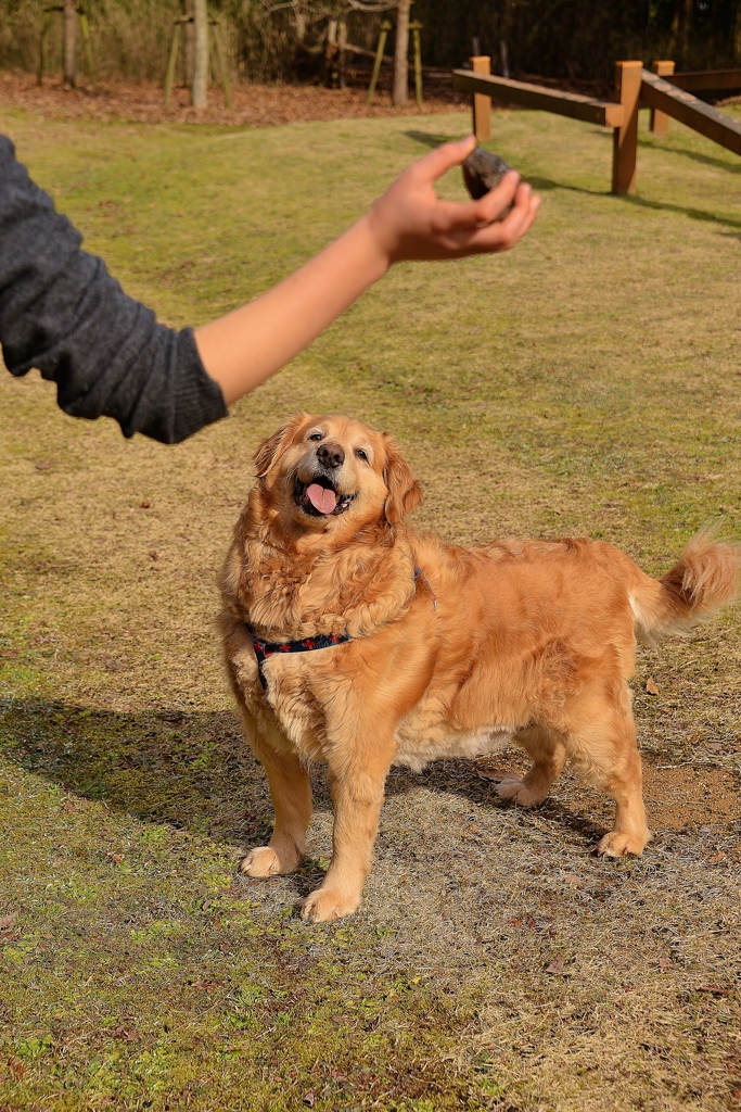 我が家の太陽③