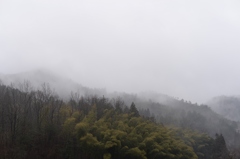 霧煙る午後