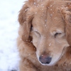 雪遊び２♪