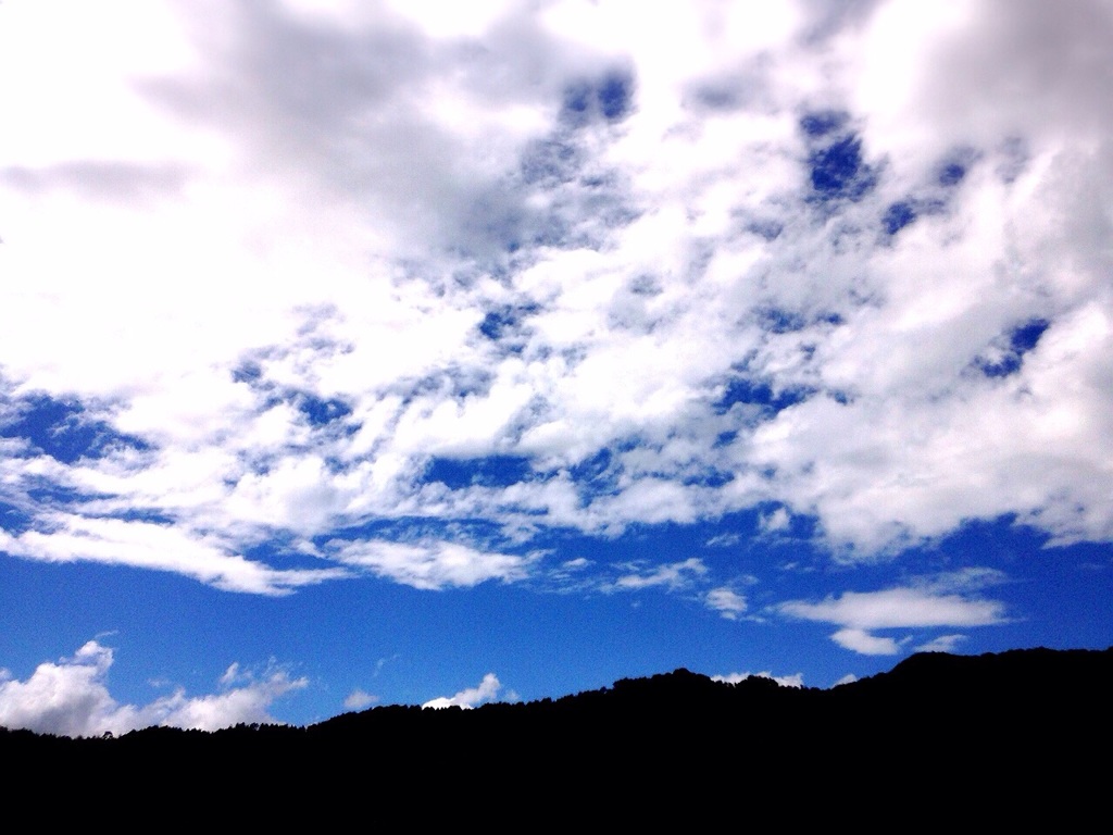 夏の夢