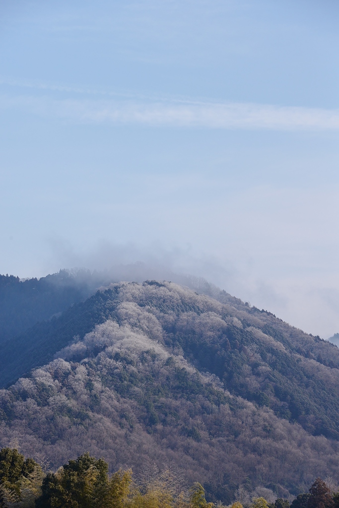 山の薄化粧