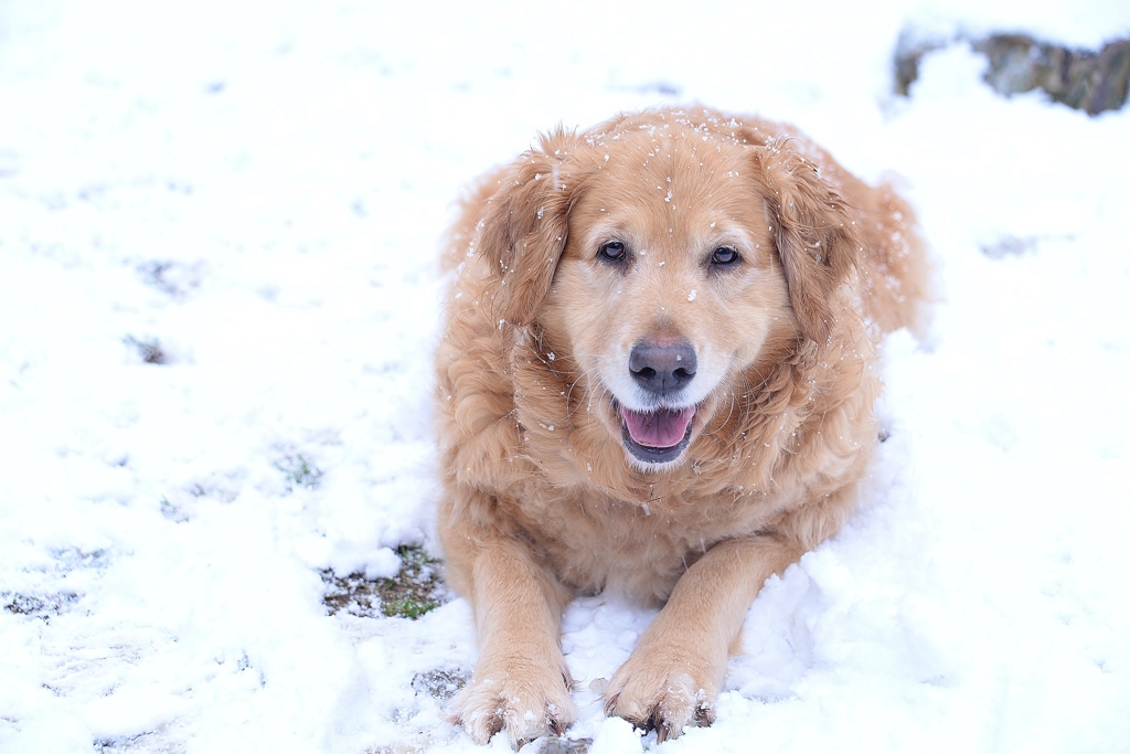 雪遊び♪