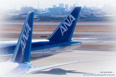 私もお空に連れてって～