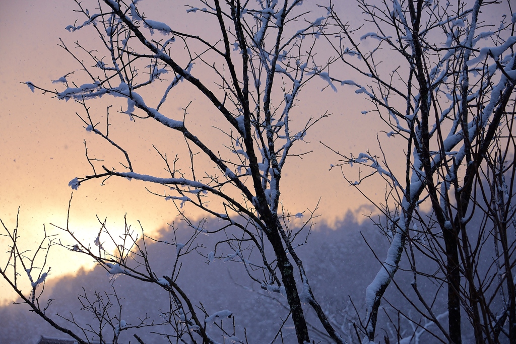 雪空燃ゆ