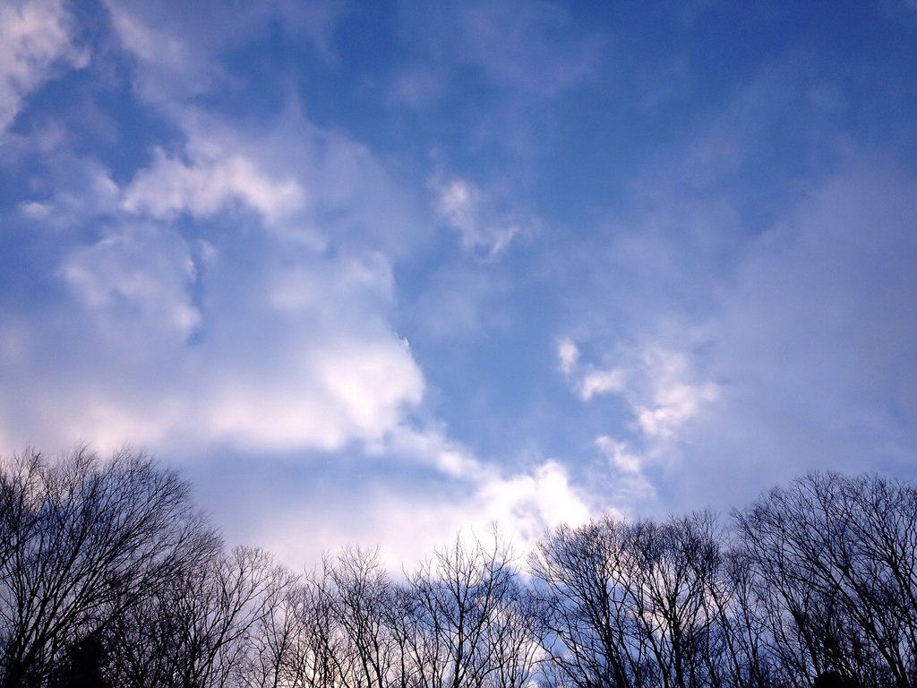 雨上がり