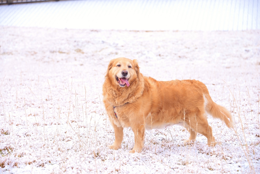 －2℃でも笑顔