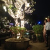 Waterside Resort Restaurant
