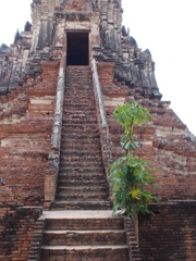 Ayutthaya