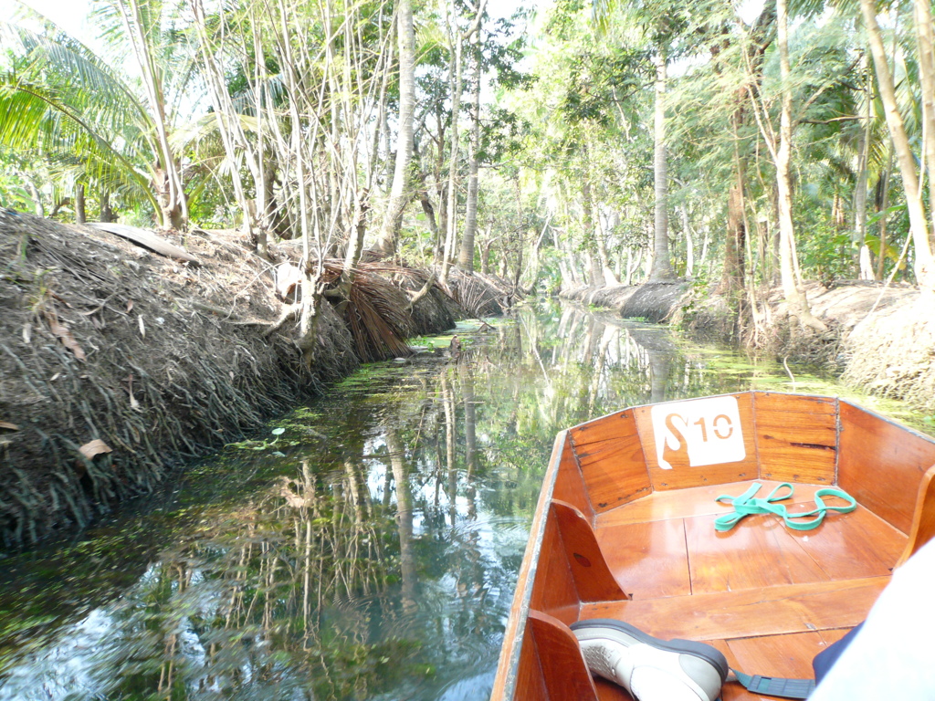 damnun saduak water market