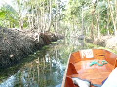 damnun saduak water market