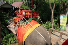 Chang Puak Camp Damnoensaduak