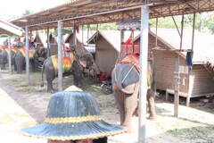 Chang Puak Camp Damnoensaduak