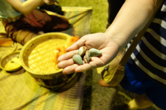 アユタヤ世界遺産祭り