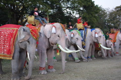 アユタヤ世界遺産祭り